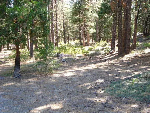 455 C Rd, Clio, CA 96106 photo 3