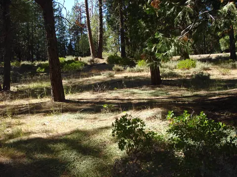 455 C Rd, Clio, CA 96106 photo 6