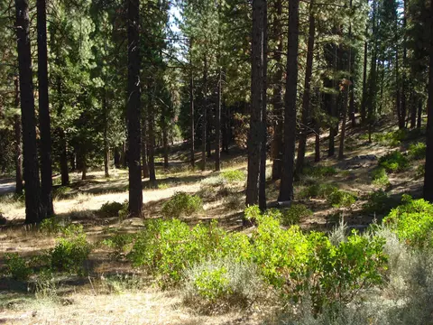 455 C Rd, Clio, CA 96106 photo 8