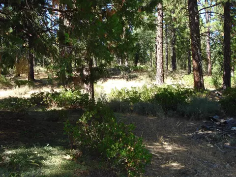 455 C Rd, Clio, CA 96106 photo 7