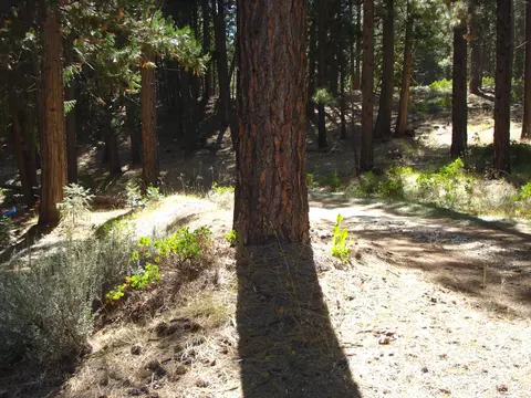 455 C Rd, Clio, CA 96106 photo 4