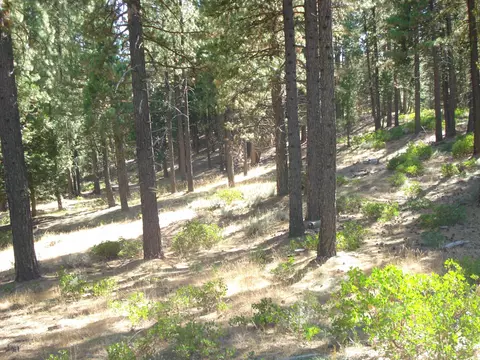 455 C Rd, Clio, CA 96106 photo 12