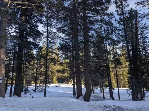 50953 Jeffery Pine Dr, Soda Springs, CA 95728