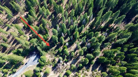 638 Eureka Springs Dr, Blairsden, CA 96103