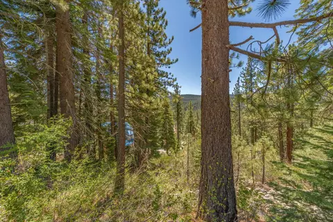 12593 Sierra Dr, Truckee, CA 96161 photo 9