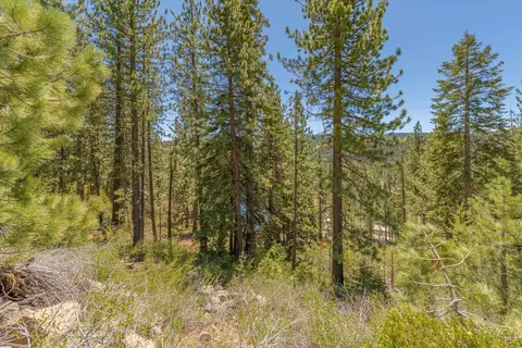 12593 Sierra Dr, Truckee, CA 96161 photo 17