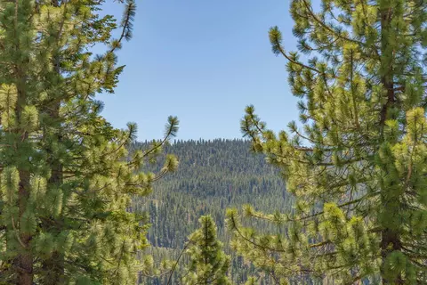 12593 Sierra Dr, Truckee, CA 96161 photo 14