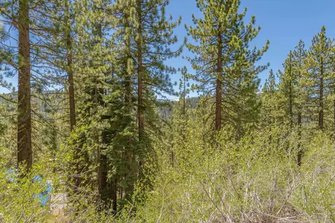 12593 Sierra Dr, Truckee, CA 96161 photo 19