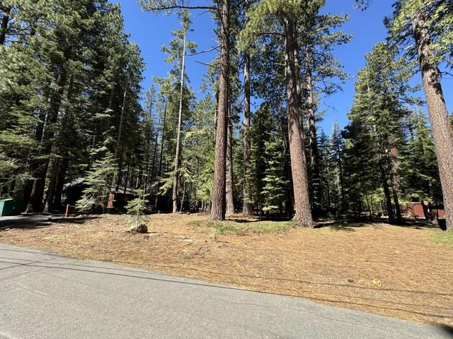 7226 2nd Ave, Tahoma, CA 96142