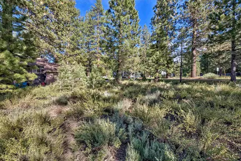 11100 Torrey Pine Rd, Truckee, CA 96161 photo 11