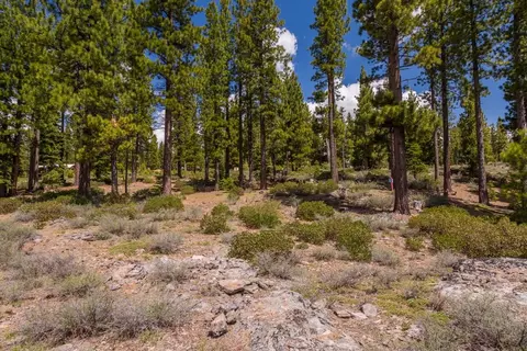 8101 Valhalla Dr, Truckee, CA 96161 photo 17