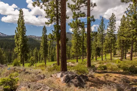 8101 Valhalla Dr, Truckee, CA 96161 photo 7