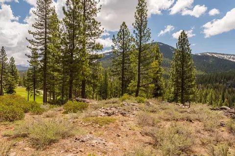 8101 Valhalla Dr, Truckee, CA 96161 photo 15