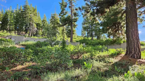 1492 Davos Ct, Alpine Meadows, CA 96146