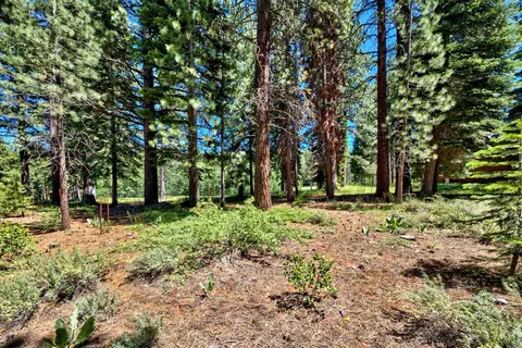 415 Lodgepole, Truckee, CA 96161 photo 6