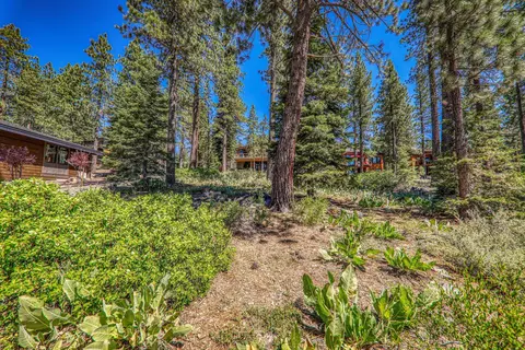 11976 Cavern Way, Truckee, CA 96161 photo 16