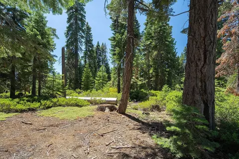 425 Nightingale Ct, Carnelian Bay, CA 96140