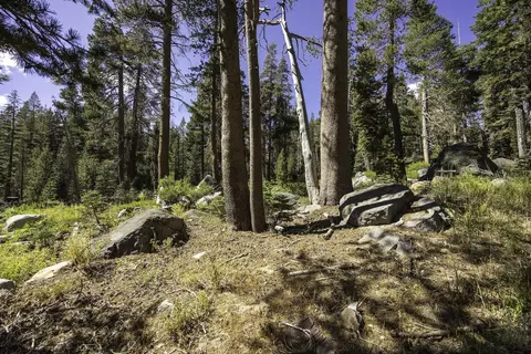 21276 Donner Dr, Soda Springs, CA 95728
