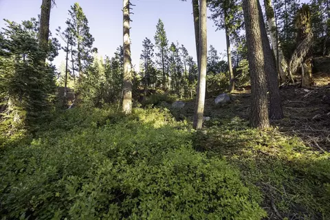 7141 Soda Springs Rd, Soda Springs, CA 95728