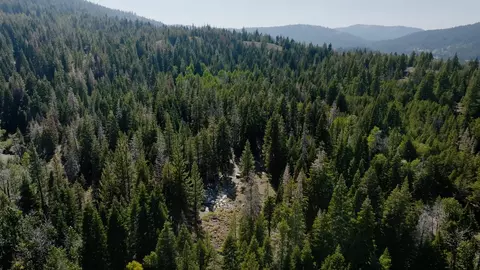 0000 Henness Pass Rd, Sierraville, CA 96126