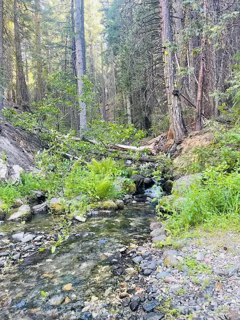 3050 Water Way, Clio, CA 96106