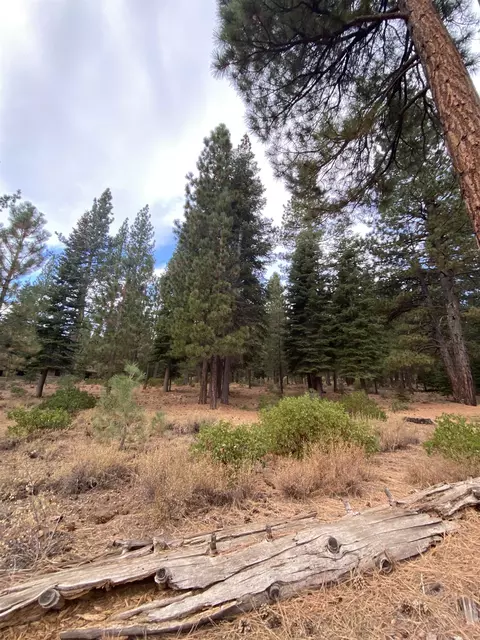 111 Dave Dysart, Truckee, CA 96161