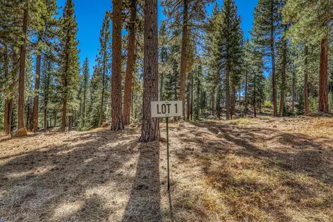10728 Bert Rd, Truckee, CA 96161 photo 1