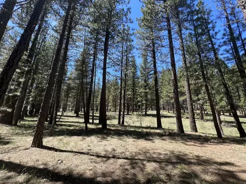 225 Gold Nugget Ln, Graeagle, CA 96103 photo 10