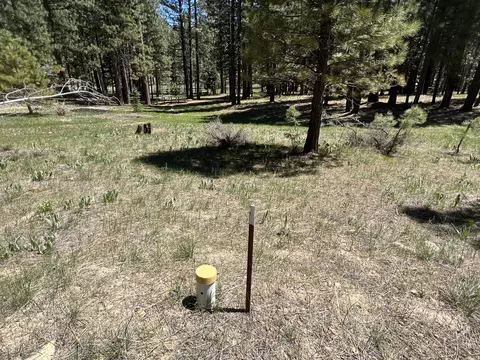 225 Gold Nugget Ln, Graeagle, CA 96103 photo 16