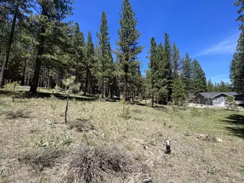 225 Gold Nugget Ln, Graeagle, CA 96103 photo 14