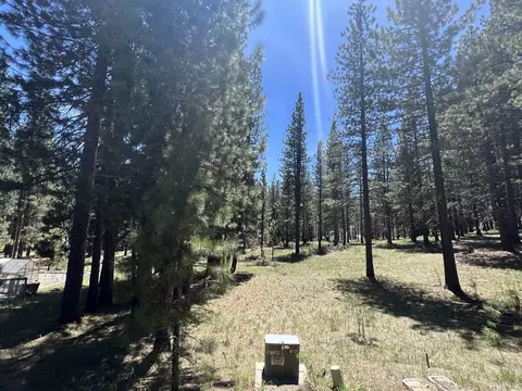 225 Gold Nugget Ln, Graeagle, CA 96103 photo 2