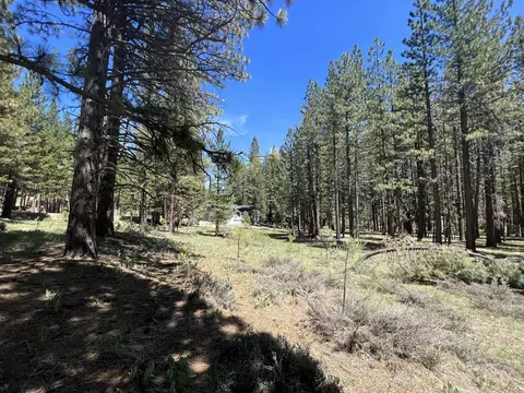 225 Gold Nugget Ln, Graeagle, CA 96103 photo 12
