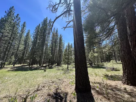 225 Gold Nugget Ln, Graeagle, CA 96103 photo 6