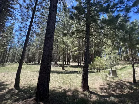 225 Gold Nugget Ln, Graeagle, CA 96103 photo 4