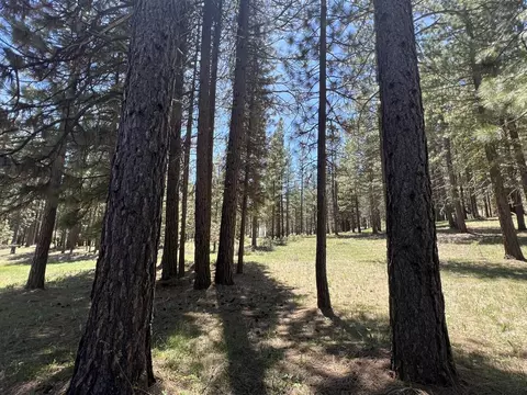 225 Gold Nugget Ln, Graeagle, CA 96103 photo 5