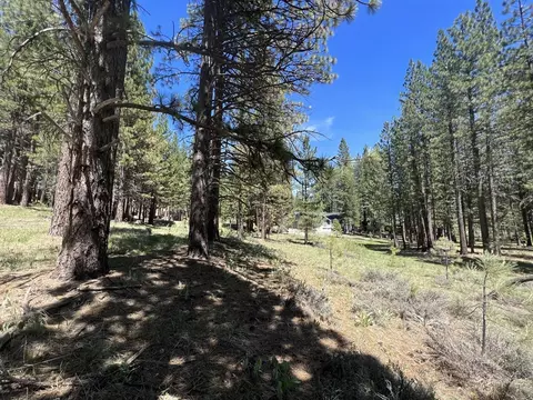 225 Gold Nugget Ln, Graeagle, CA 96103 photo 13