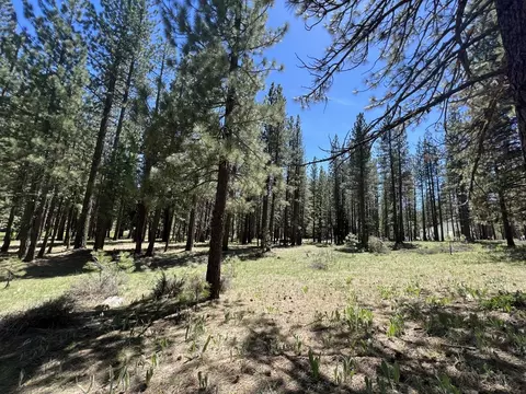 225 Gold Nugget Ln, Graeagle, CA 96103 photo 15