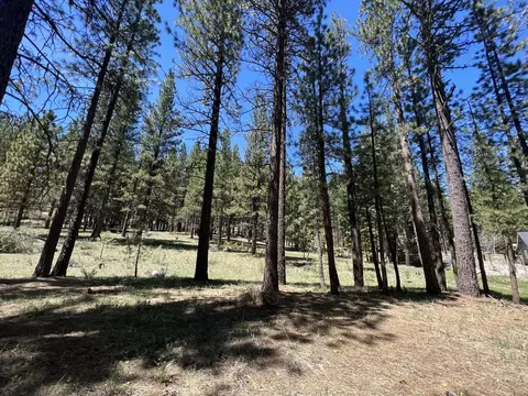 225 Gold Nugget Ln, Graeagle, CA 96103 photo 11