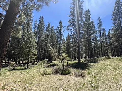 225 Gold Nugget Ln, Graeagle, CA 96103 photo 18