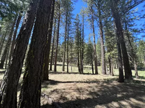 225 Gold Nugget Ln, Graeagle, CA 96103 photo 9