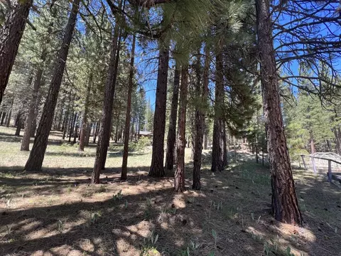 225 Gold Nugget Ln, Graeagle, CA 96103 photo 7