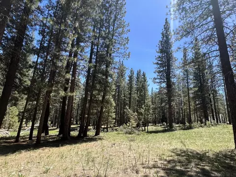 225 Gold Nugget Ln, Graeagle, CA 96103 photo 20