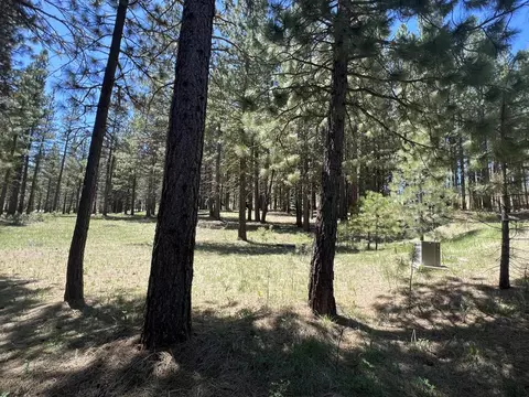 225 Gold Nugget Ln, Graeagle, CA 96103 photo 3