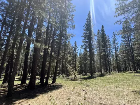 225 Gold Nugget Ln, Graeagle, CA 96103 photo 19