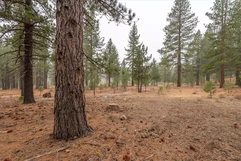 10567 Brickell Ct, Truckee, CA 96161 photo 13