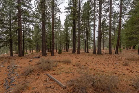 10567 Brickell Ct, Truckee, CA 96161 photo 7