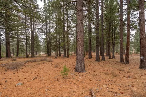 10567 Brickell Ct, Truckee, CA 96161 photo 4