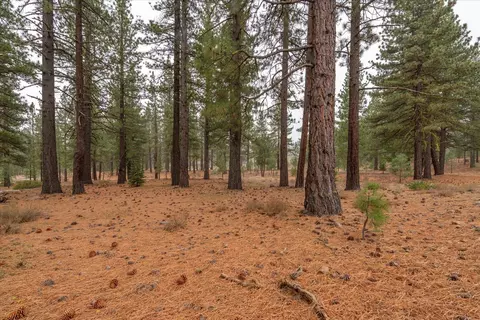 10567 Brickell Ct, Truckee, CA 96161 photo 5
