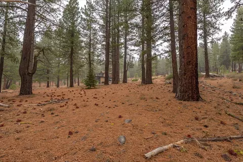 10567 Brickell Ct, Truckee, CA 96161 photo 14