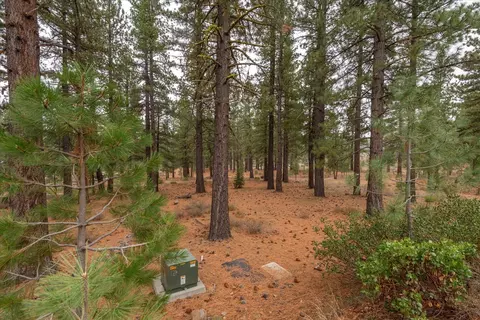 10567 Brickell Ct, Truckee, CA 96161 photo 9
